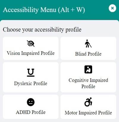 WebAccessify widget section showing accessibility profiles