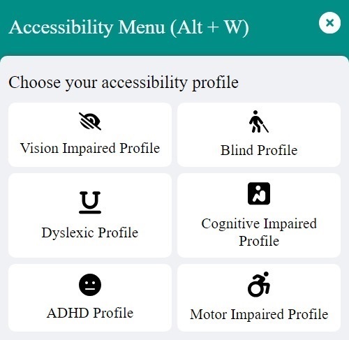 WebAccessify's accessibility widget showing disabilities profile section